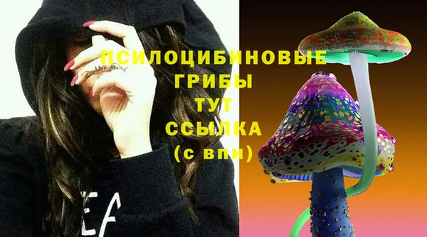 сатива Пестово